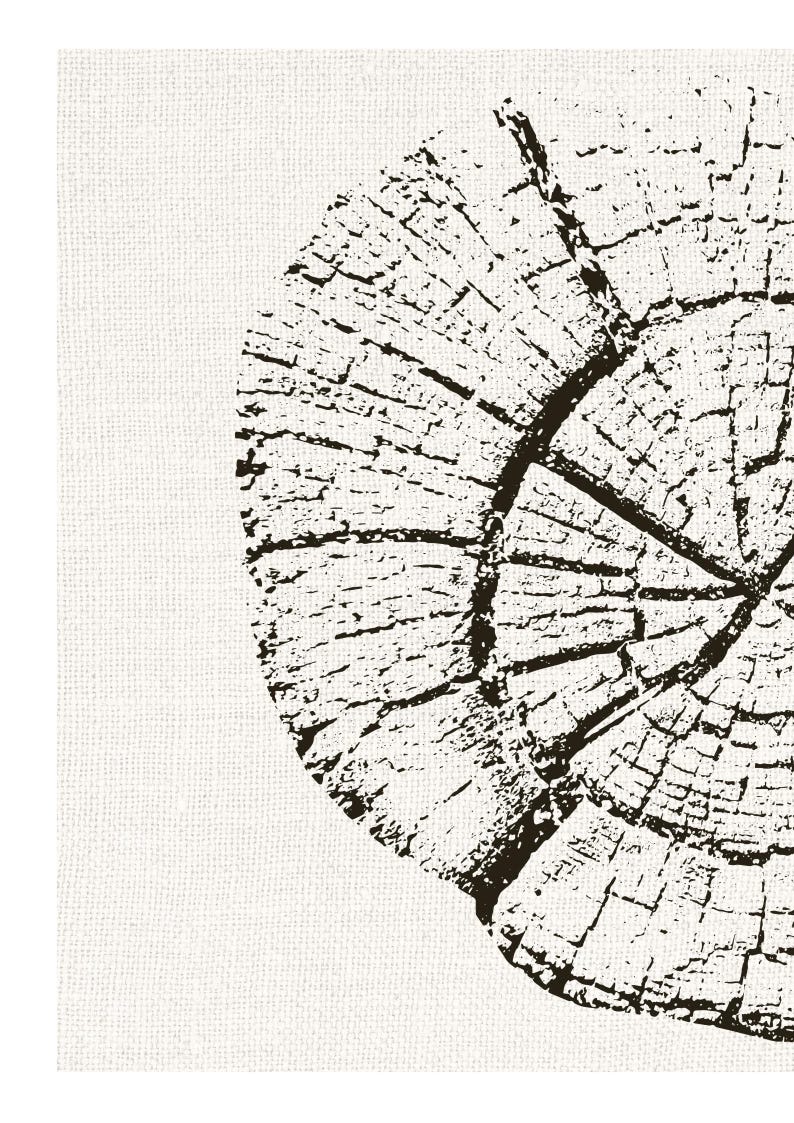 Tree Ring Wall Art, Single Print or Pair, A4 or A3 Unframed imagem 2