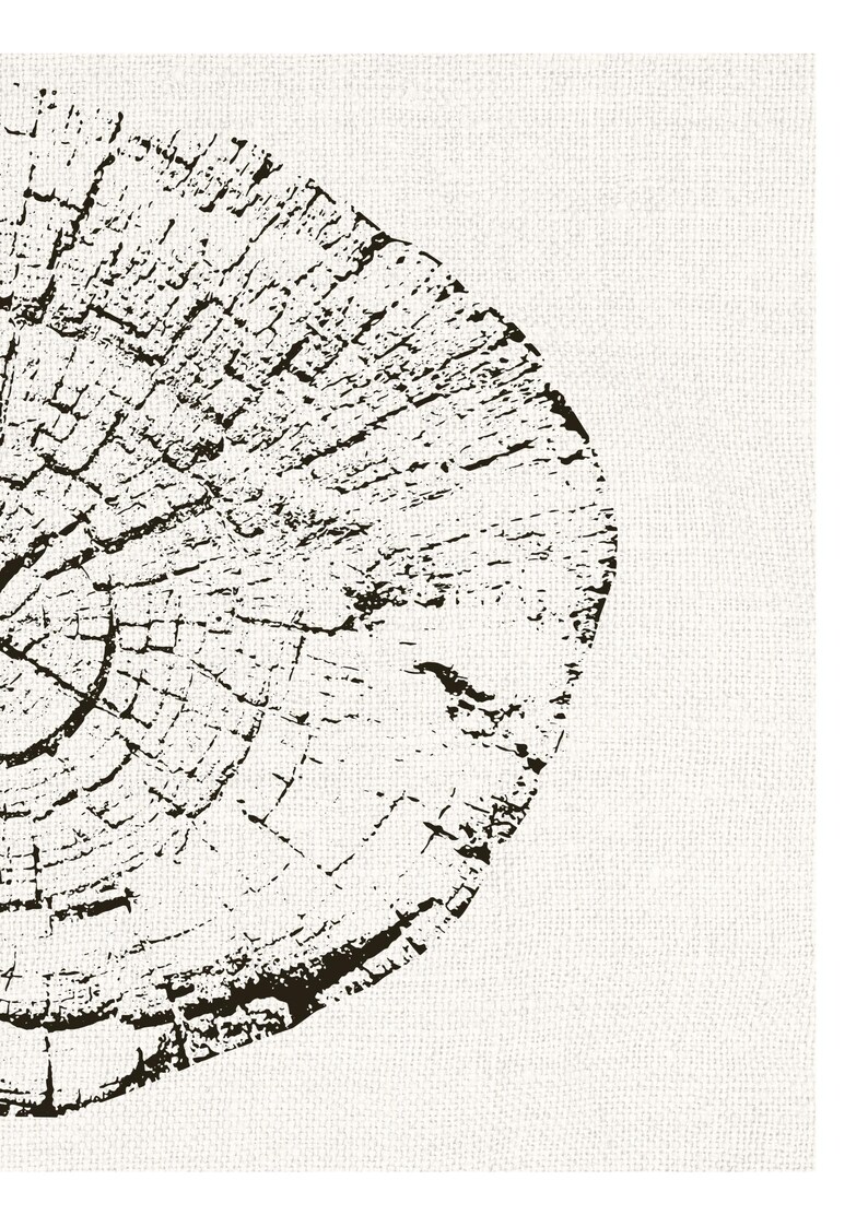 Tree Ring Wall Art, Single Print or Pair, A4 or A3 Unframed imagem 3
