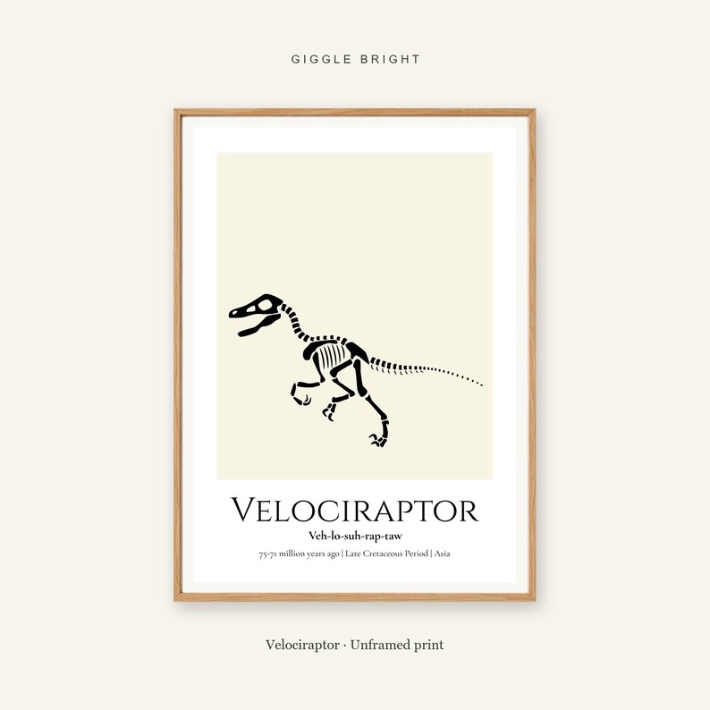 Puede incluir: Una l&aacute;mina de pared enmarcada con la silueta negra de un esqueleto de Velociraptor sobre un fondo crema. El texto incluye GIGGLE BRIGHT, VELOCIRAPTOR, pronunciaci&oacute;n fon&eacute;tica, 75-71 million years ago, Late Cretaceous Period, Asia y Unframed print.