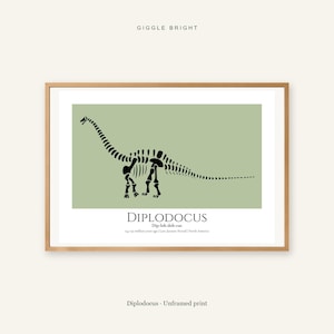 May include: A framed print featuring a black silhouette of a Diplodocus skeleton on a sage green background. Below the dinosaur, the text reads DIPLODOCUS, Dip-loh-doh-cus, 154-150 million years ago | Late Jurassic Period | North America.