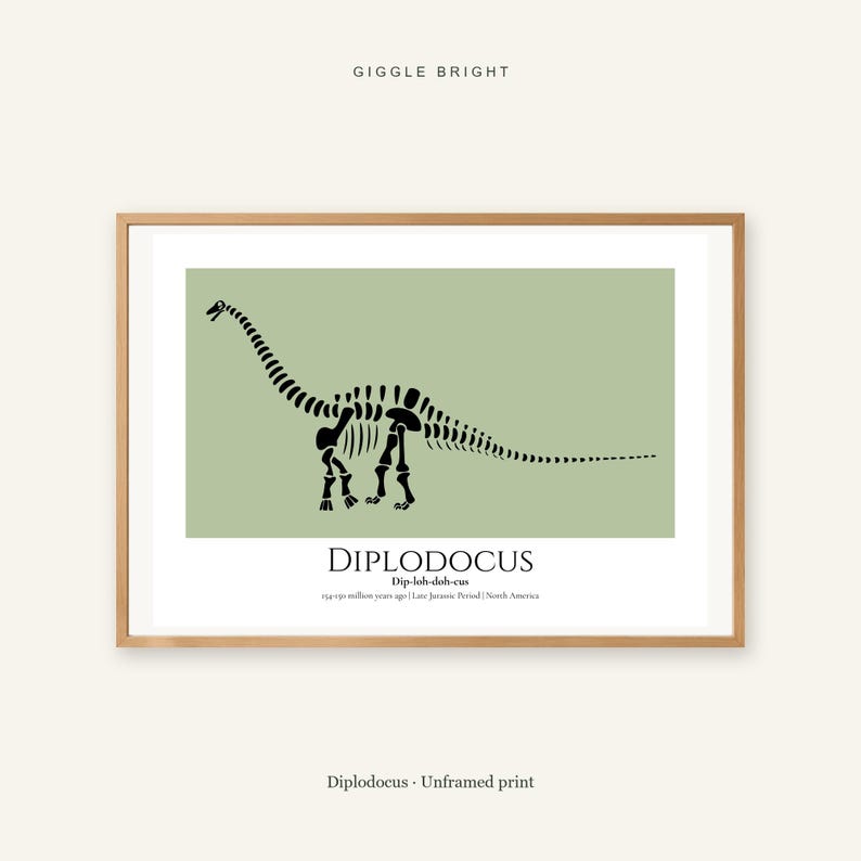 May include: A framed print featuring a black silhouette of a Diplodocus skeleton on a sage green background. Below the dinosaur, the text reads DIPLODOCUS, Dip-loh-doh-cus, 154-150 million years ago | Late Jurassic Period | North America.