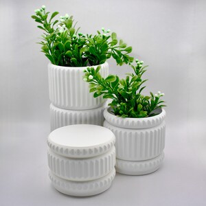 May include: Three white ceramic planters with a vertical ribbed texture. Two of the planters contain artificial green leafy plants with small white buds. One planter is empty and sits in the foreground, featuring a matching ribbed design.