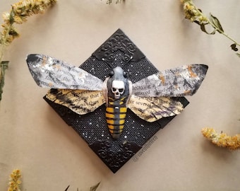 Death's Head Moth - faux taxidermy art assemblage with Poe book pages - made to order