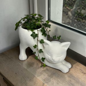 May include: A white ceramic cat-shaped planter with a sleeping cat design. The planter holds a green plant with ivy vines cascading down the side. The planter is on a wooden surface near a window.