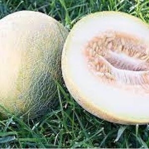 Könnte beinhalten: Eine ganze Cantaloupe-Melone und eine halbierte Cantaloupe-Melone, die die Samen zeigt. Die Melonen haben eine hellgrüne Schale mit einer netzartigen Textur. Die geschnittene Melone zeigt hellorangefarbenes Fruchtfleisch. Die Melonen liegen auf grünem Gras.