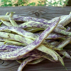 May include: A pile of fresh, raw beans with a speckled pattern of purple and green. The beans are long and slender, with a slightly curved shape. They are arranged on a weathered wooden surface.