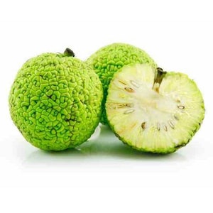 May include: Three green Osage oranges, one whole and two partially visible. The whole fruit has a textured surface. One is cut open, revealing a pale interior with seeds. The fruits are on a white background.