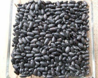 20 semillas de frijoles negros Cherokee Trail of Tears / Sin OMG - Variedad tradicional / Semillas de hortalizas / Cultívalas tú mismo / Variedad tradicional