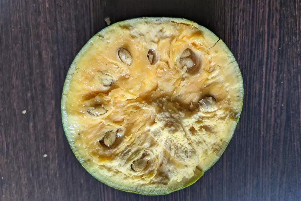 Flare Seeds Aegle Marmelos Seed 20 per packet