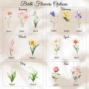 May include: A decorative print featuring watercolor illustrations of birth flowers for each month of the year. The image includes the text "Birth Flowers Options" and labels for each month and flower variety, such as "January" and "Jan1".