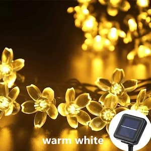 May include: A string of warm white flower-shaped LED lights. The lights are strung on a black wire and have a solar panel for power. The text "warm white" is at the bottom of the image.