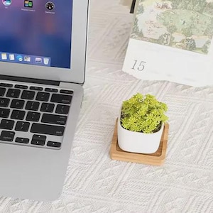 May include: A small, white square ceramic planter filled with a green plant, sitting on a square bamboo coaster. A laptop and a calendar with the number 15 are in the background. The items are on a white, textured surface.