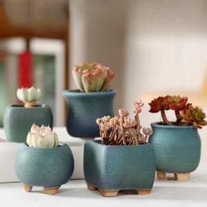 large-mouth terracotta succulent pot · mini planter