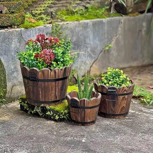May include: Three wooden barrel-shaped planters with scalloped edges and black metal accents. The planters are filled with greenery and flowers. The largest planter holds red and green foliage, while the others contain green plants. The planters are on a mossy surface.