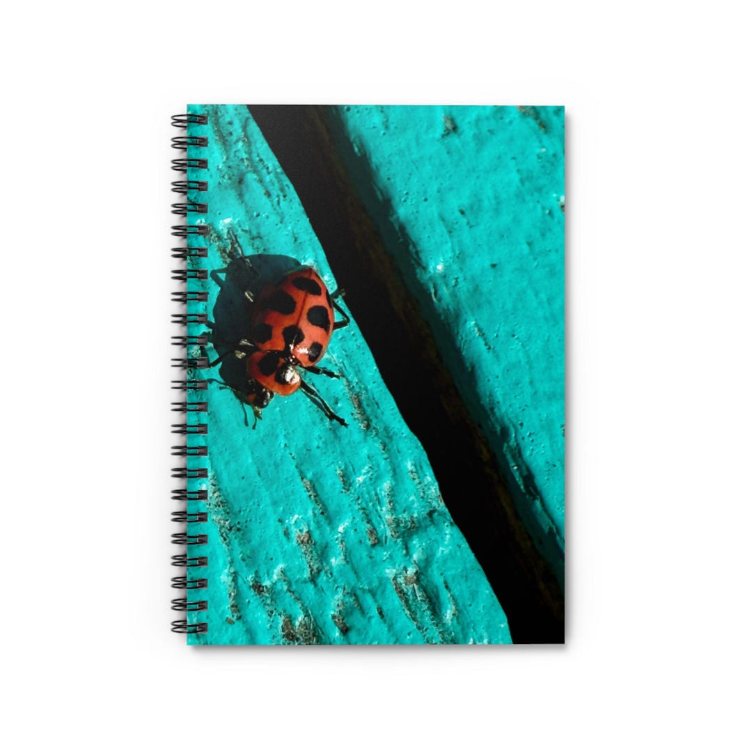 Ladybug Notebook Red Spotted Ladybug Spiral Notebook | Ruled Journal - Etsy