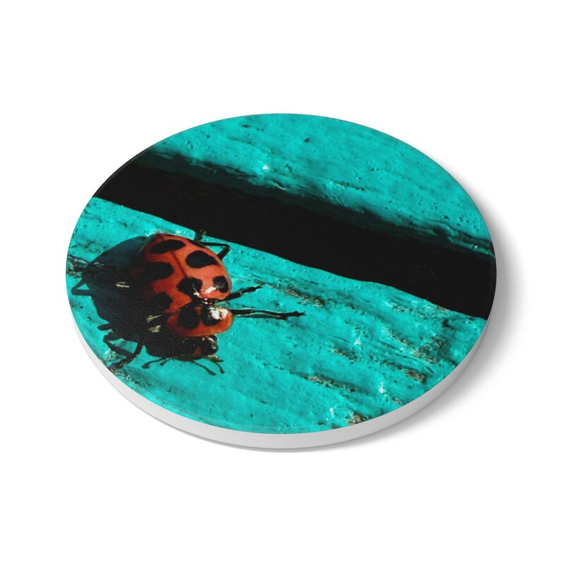 Ladybug on Turquoise Wood Ceramic Coaster | Insect Nature Drink Mat ...