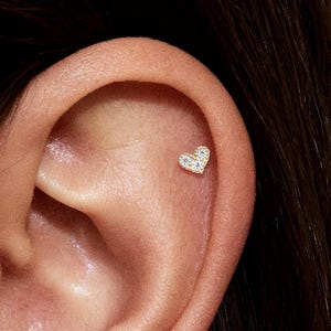 May include: A small, heart-shaped earring with multiple small, clear stones set in a gold metal. The earring is positioned on the upper ear cartilage. The image shows a close-up of the ear and earring.