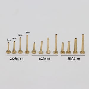 May include: A collection of gold-colored flat back labret studs arranged in three groups labeled 20G/0.8mm, 18G/1.0mm, and 16G/1.2mm. Each group displays four varying post lengths of 5mm, 6mm, 8mm, and 10mm, featuring a circular base and a hollow post.