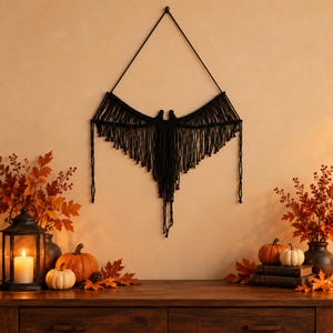 May include: A black macrame wall hanging featuring a symmetrical design with long, dangling fringe strands that form a shape resembling bat wings. The piece is suspended from a thin black cord attached to a single point at the top center.