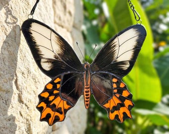 Atrophaneura Butterfly Stained Glass Suncatcher, Exotic Butterfly Window Hanging, Handmade Glass Wall Decor, Gift for Mom