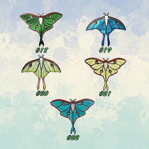 K&ouml;nnte beinhalten: F&uuml;nf farbenfrohe Mottenillustrationen mit komplizierten Fl&uuml;gelmustern. Jede Motte hat eine andere Farbe, darunter Gr&uuml;n, Blau und Gelb, mit braunen und wei&szlig;en Details. Jede Motte hat eine Nummer von #18 bis #22.