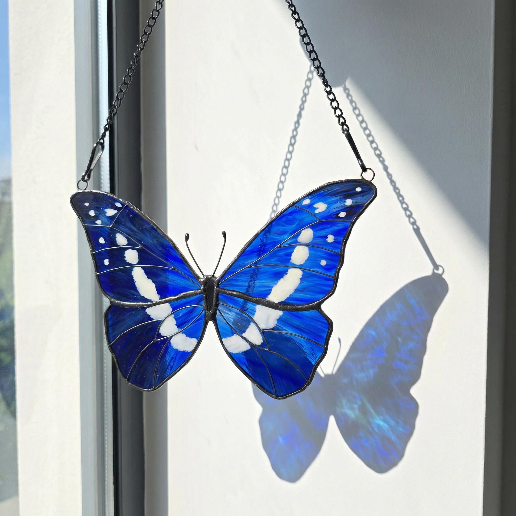 Morpho Helena - Etsy Canada