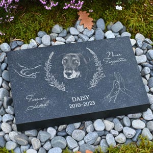 Engraved granite pet memorial stone with photo of dog named Daisy, personalized headstone placed on gray pebbles in a garden surrounded by moss and flowers, custom laser-etched design for outdoor pet grave marker.