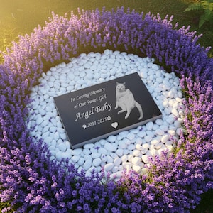 K&ouml;nnte beinhalten: Eine rechteckige schwarze Gedenktafel mit einer wei&szlig;en Gravur einer Katze, dem Text In Loving Memory of Our Sweet Girl Angel Baby, den Jahreszahlen 2011-2025, zwei Pfotenabdruck-Symbolen und einem kleinen Herzsymbol am unteren Rand der Platte.