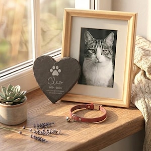May include: A framed black and white photo of a cat sits next to a heart-shaped slate stone with a paw print and the name "Cleo". A red leather cat collar with a bell is also present. A small succulent plant in a pot is on the left.