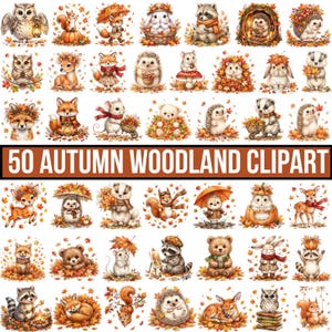 Op de afbeelding: Een collectie van 50 herfstachtige bos-clipartillustraties met diverse dieren zoals uilen, vossen, egels, konijnen, wasberen en herten omringd door herfstbladeren, pompoenen en paddenstoelen, met de tekst 50 AUTUMN WOODLAND CLIPART.