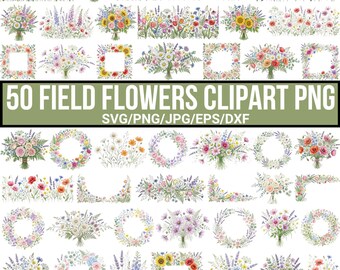 Wildflower Png Bundle, Flower png, Spring png, Botanical png, Floral Frames Clipart, Flower Bouquet png, Flower Meadow png,Border For Cricut