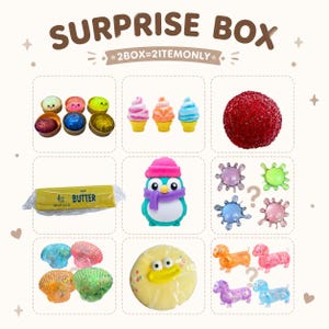 Squishy Mystery Box 2 Piece – Random Soft Squishy Toy Blind Box Surprise Collectible Gift Equal Chance