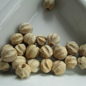 Beautiful Strand of Marbiney Seed Beads from Kenya