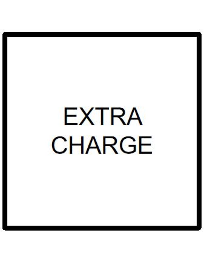 May include: A white square with a thick black border. The words "EXTRA CHARGE" are centered in black, sans-serif font.