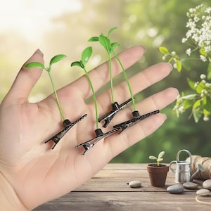 May include: Four small, green plant stems with leaves are attached to black metal clips. The clips are held in a hand, with a small potted plant, watering can, and twine in the background. The image has a natural, outdoor theme.