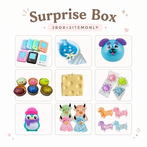 Squishy Mystery Box 2 Piece – Random Soft Squishy Blind Box Surprise Collectible Gift with Equal Chance Selection