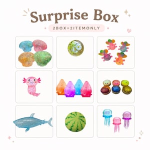 Squishy Mystery Box – Slumpmässig samlarleksak, Stresslindrande Kul (2 föremål)