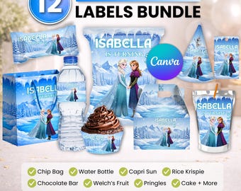 Paquete de recuerdos de fiesta de Frozen, decoración de fiesta de Frozen, decoración de cumpleaños, bolsa de papas fritas, etiqueta para botella de agua, envoltorio de chocolate, etiqueta Caprisun, caja Gabble