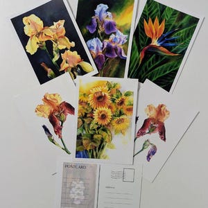 Può includere: Una collezione di cartoline floreali con dipinti ad acquerello di iris, girasoli e un fiore di uccello del paradiso. Le cartoline sono disposte su una superficie bianca, mostrando i colori vivaci e le opere d'arte dettagliate.