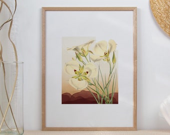 Utah art, Utah gifts, Utah flowers, Salt Lake City gifts, Utah wall art, botanical poster, botanical print, state flower print, Provo Utah