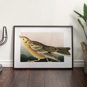 Colorado State Bird Print | Lark Bunting Wall Art | Denver Colorado Avifauna Poster | Unique Gift for Bird Lovers & Home Decor