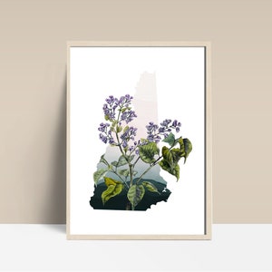 New Hampshire wall art, New Hampshire print, New Hampshire decor, framed wall art, state flower art, New Hampshire home, Keene NH art
