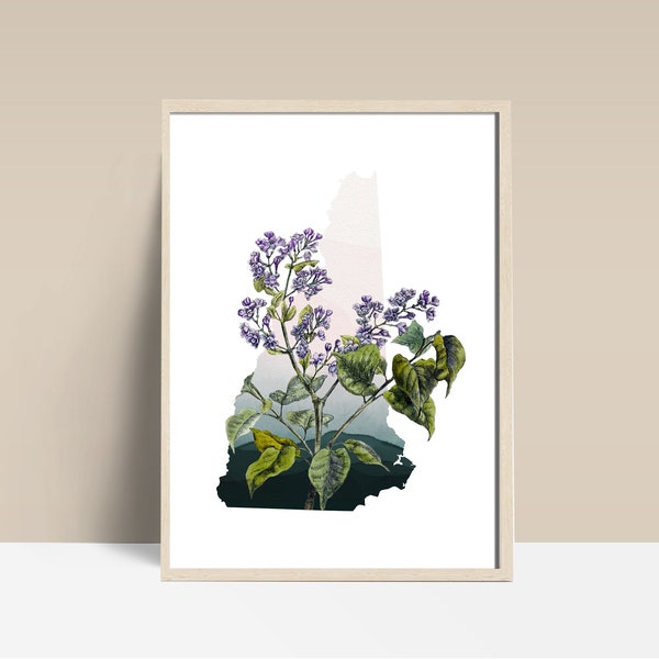 Nh Framed Wall Art Etsy