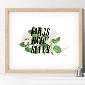 Massachusetts Mayflower State Flower Art Print: Boston Home Decor