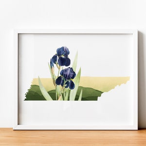 Tennessee wall art, Tennessee art print, Nashville gifts, Memphis TN, state flower print, iris flower gifts, Knoxville TN print, TN wall art image 5