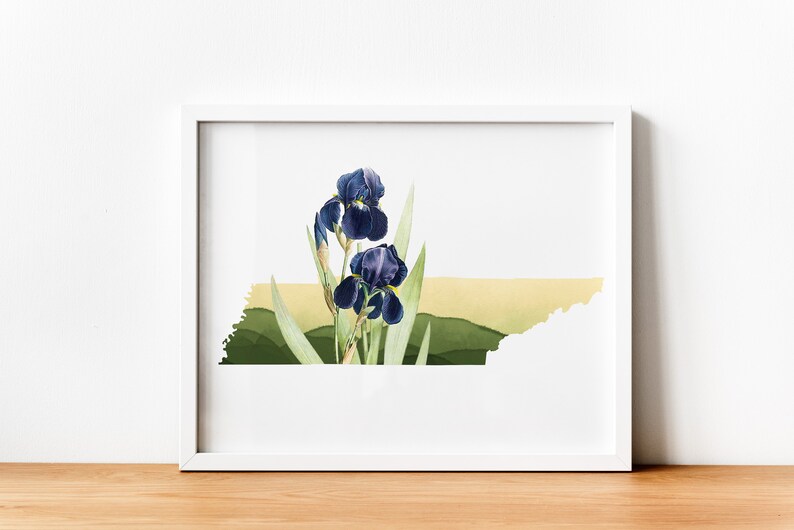 Tennessee wall art, Tennessee art print, Nashville gifts, Memphis TN, state flower print, iris flower gifts, Knoxville TN print, TN wall art image 5