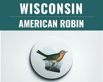 Wisconsin State Bird Coaster Set: American Robin, Unique Home Decor