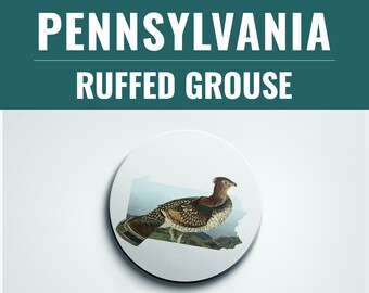 Ruffed Grouse Coaster Set: Pennsylvania State Bird, Nature Lover Gift