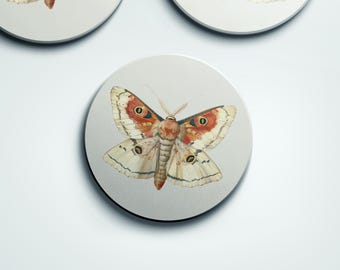 Stone Coaster With Vintage Moth, 4-Inch Sandstone and Cork Backing