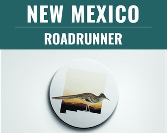 Roadrunner Coaster Set: New Mexico State Bird, Home Decor